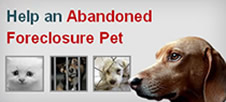 Abandoned Foreclosure Pets