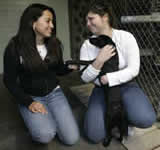 Foreclosure Pets in California Receive Care from Volunteers