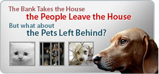 Pets