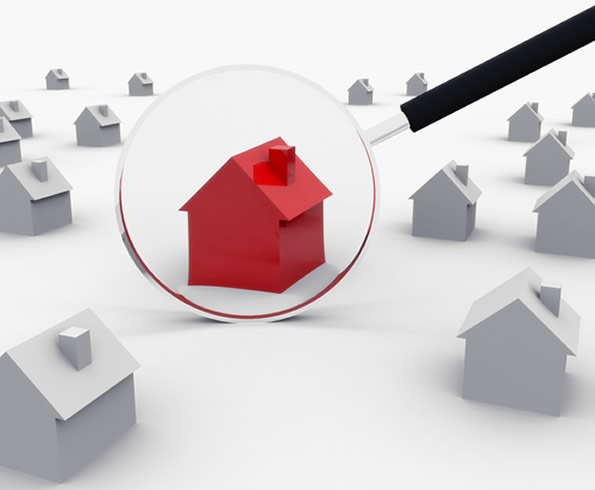 Looking at REO Homes