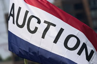 Government Auction Flag