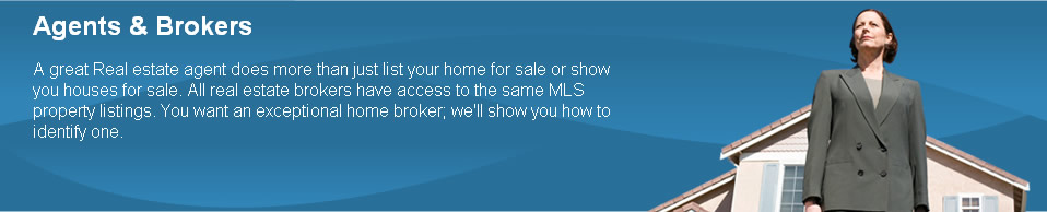 Agents & Brokers