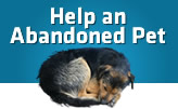 Help an abandoned pet