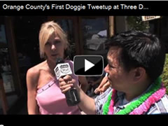 Orange County's First Doggie Tweetup at Three Dog Bakery in Newport Beach, CA